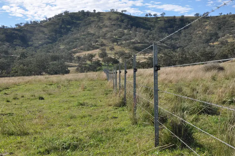 Fifth view of Homely rural property listing, 'Glenroy' Tyrone Rd, Bunnan via, Scone NSW 2337