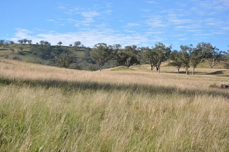 Sixth view of Homely rural property listing, 'Glenroy' Tyrone Rd, Bunnan via, Scone NSW 2337
