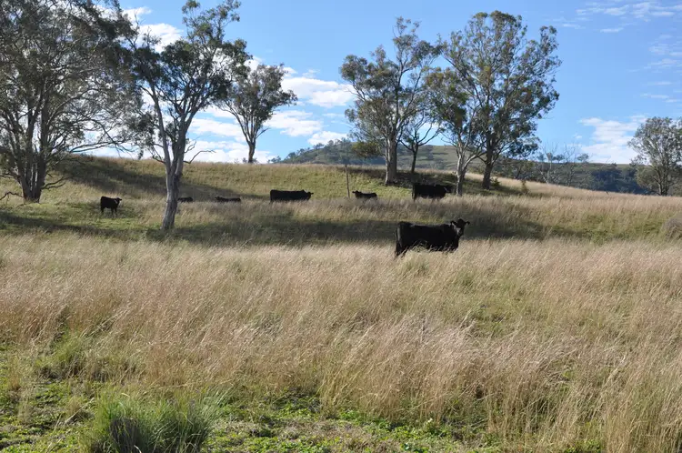Seventh view of Homely rural property listing, 'Glenroy' Tyrone Rd, Bunnan via, Scone NSW 2337