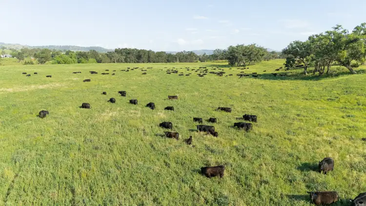 Second view of Homely rural property listing, 'Kierahmee' 53 Tyrone Rd, Bunnan via, Scone NSW 2337