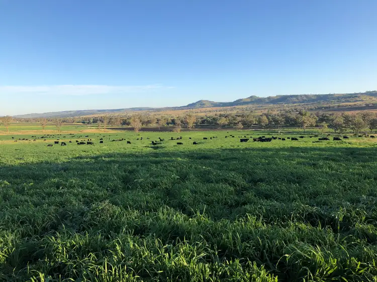 Third view of Homely rural property listing, 'Kierahmee' 53 Tyrone Rd, Bunnan via, Scone NSW 2337