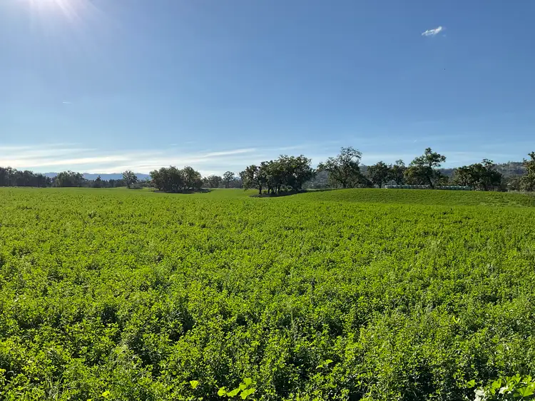Seventh view of Homely rural property listing, 'Kierahmee' 53 Tyrone Rd, Bunnan via, Scone NSW 2337