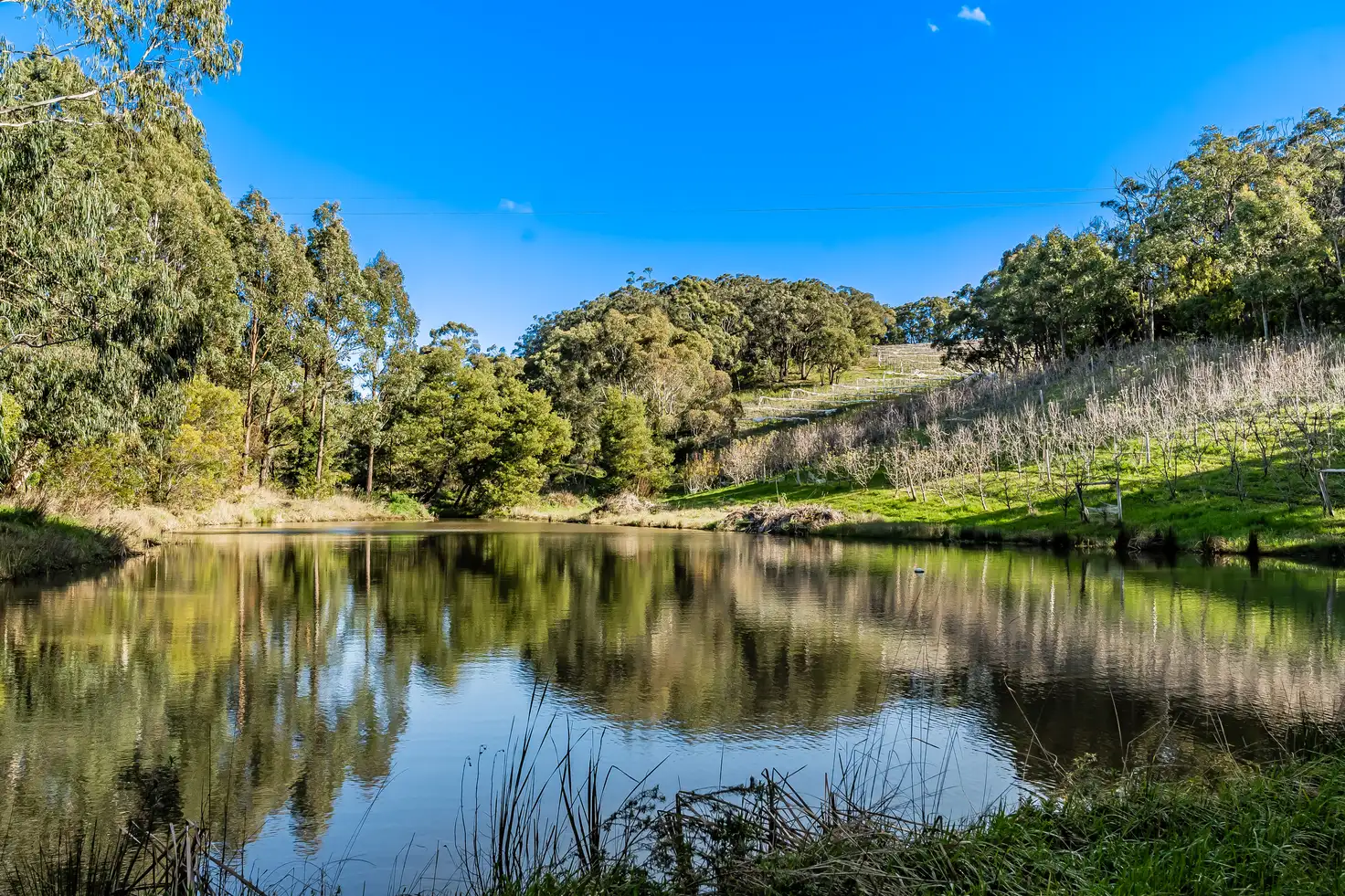 Main view of Homely land listing, Section 385 Lobethal Road, Forest Range SA 5139