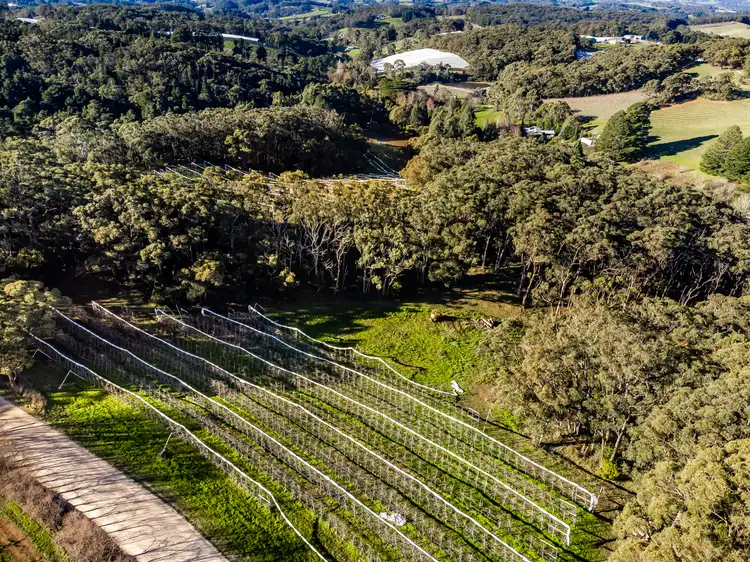 Third view of Homely land listing, Section 385 Lobethal Road, Forest Range SA 5139