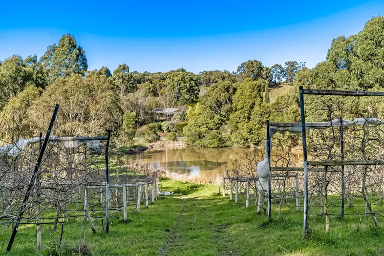 Fourth view of Homely land listing, Section 385 Lobethal Road, Forest Range SA 5139