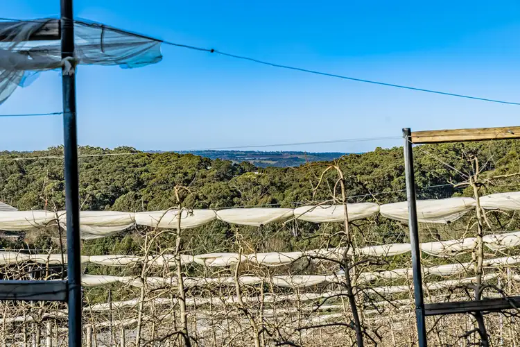 Sixth view of Homely land listing, Section 385 Lobethal Road, Forest Range SA 5139