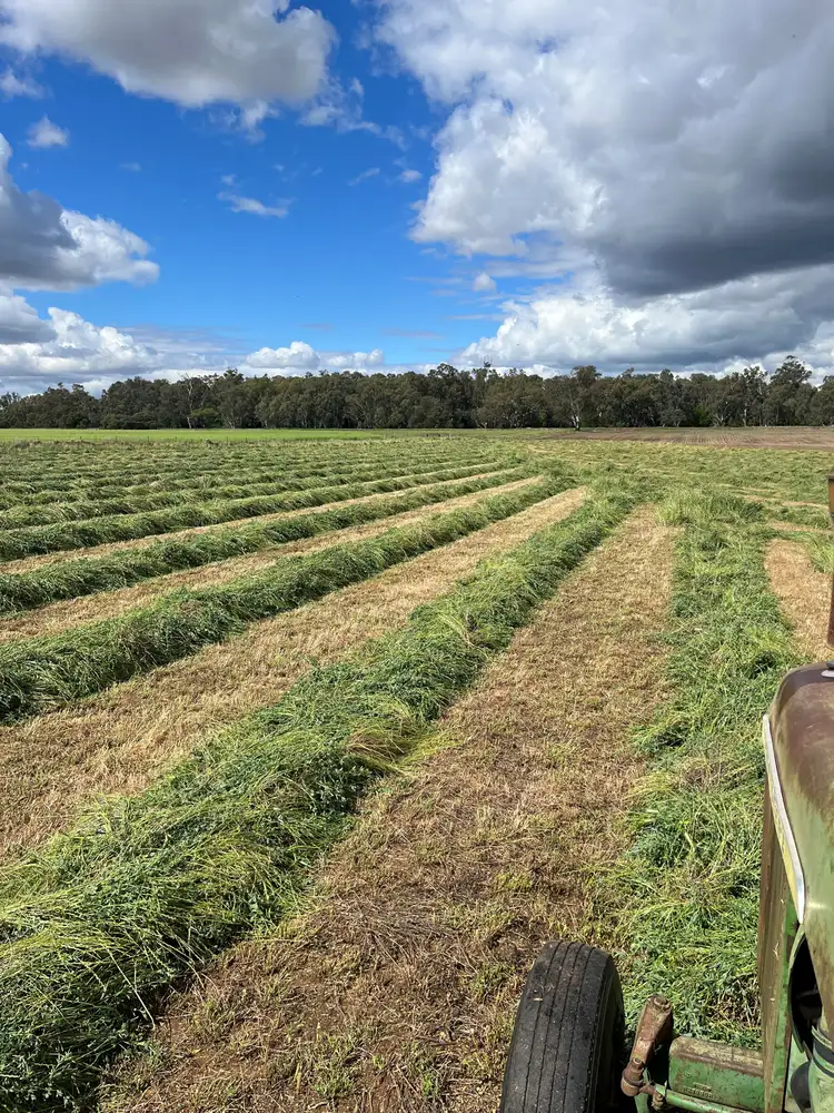 Main view of Homely rural property listing, 89 Roseleigh Lane, Forbes NSW 2871