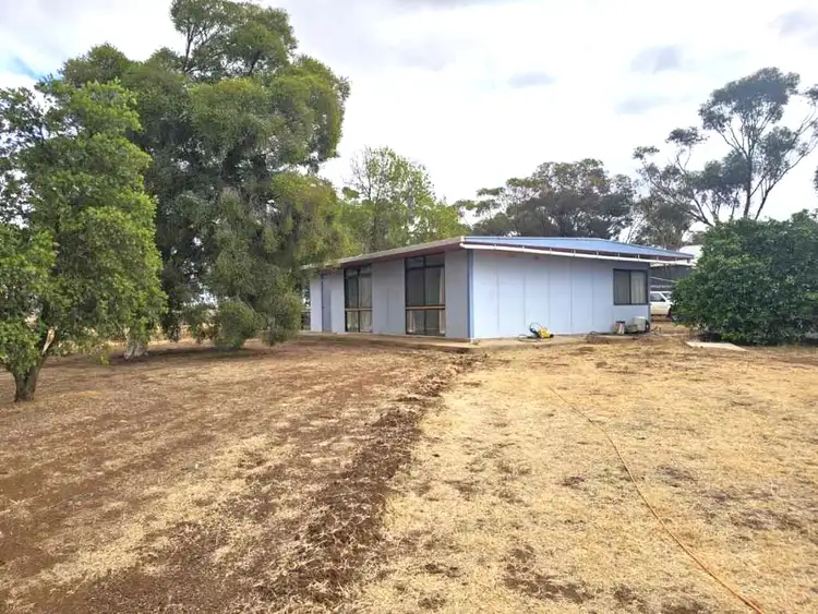 Main view of Homely house listing, 496 Pearses Road, Donald VIC 3480