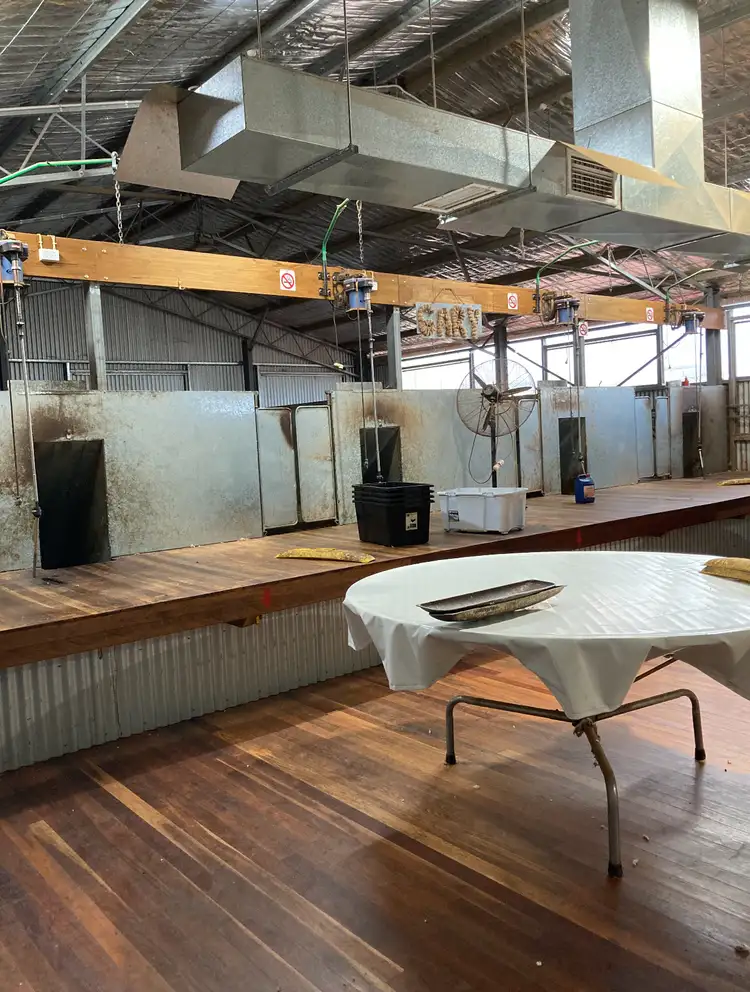 Second view of Homely rural property listing, 513 Condobolin - Trundle Road, Trundle NSW 2875