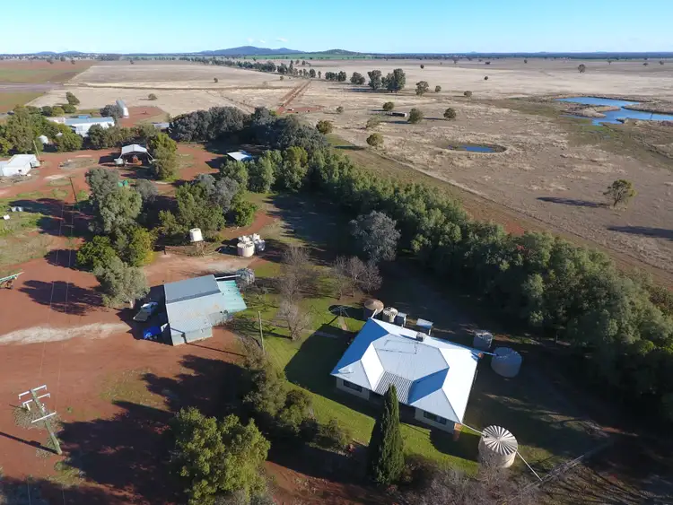 Fifth view of Homely rural property listing, 513 Condobolin - Trundle Road, Trundle NSW 2875