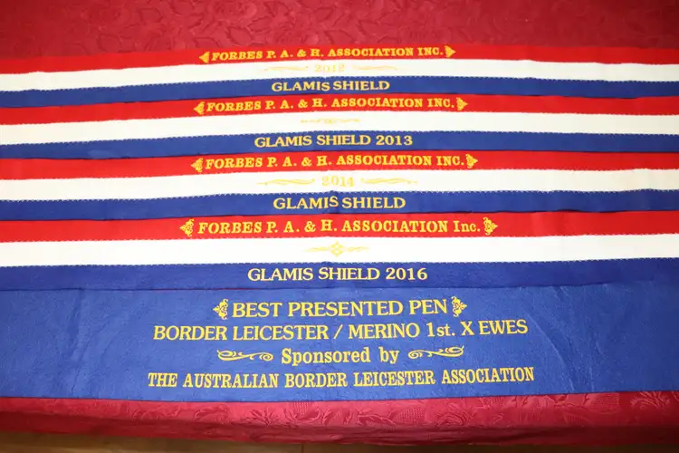 Sixth view of Homely rural property listing, 513 Condobolin - Trundle Road, Trundle NSW 2875