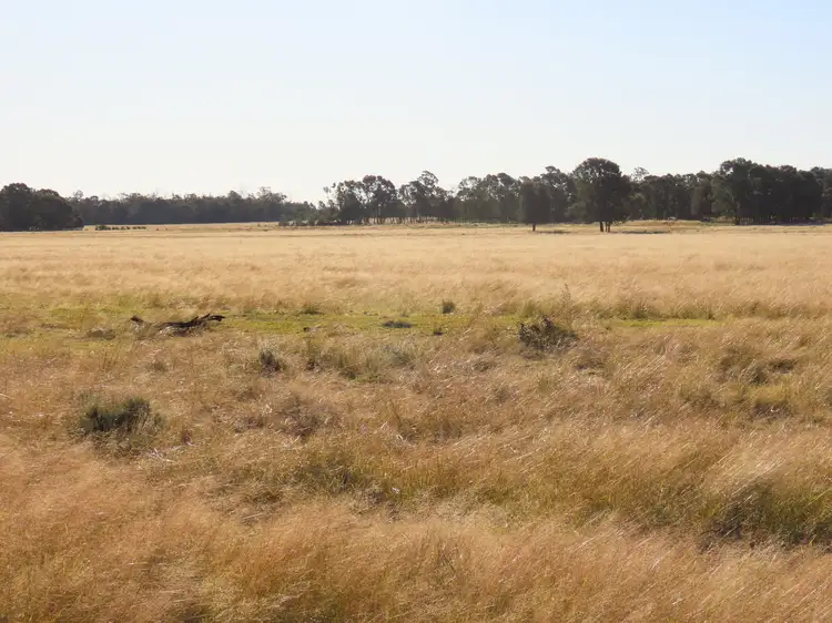 Fifth view of Homely rural property listing, Oaklodge Krugers Road, Chinchilla QLD 4413
