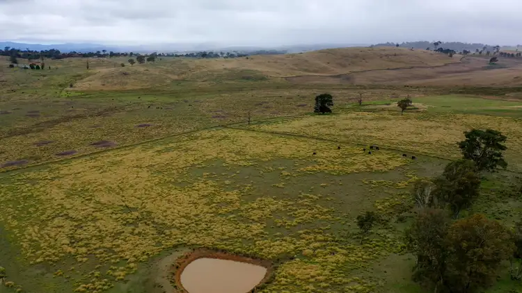 Fifth view of Homely land listing, 47A Bryans Gap Road, Tenterfield NSW 2372