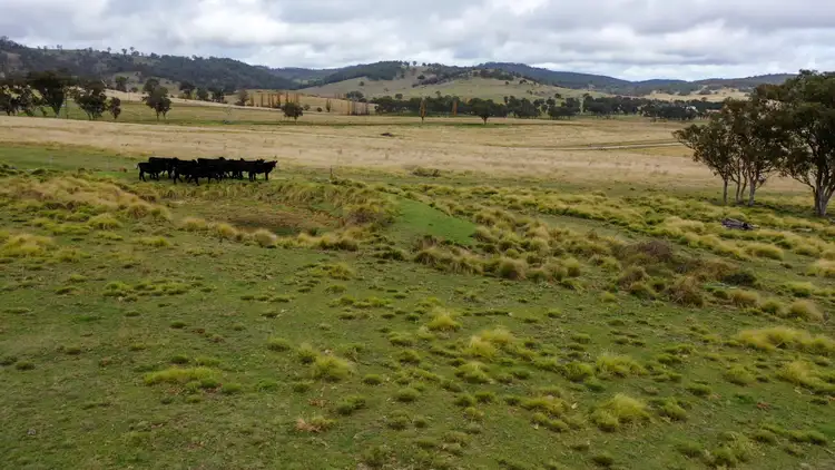 Sixth view of Homely land listing, 47A Bryans Gap Road, Tenterfield NSW 2372