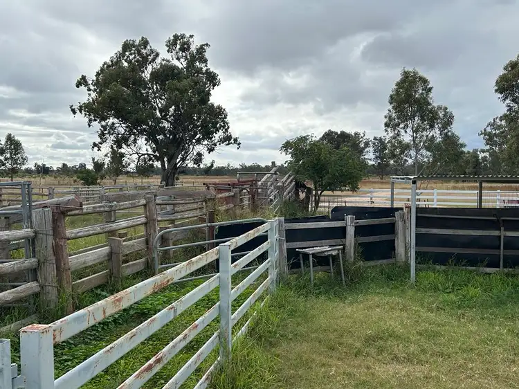 Fifth view of Homely rural property listing, 1369 Yagaburne-Boondandilla Road, Moonie QLD 4406