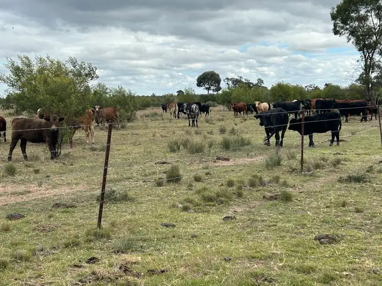 Sixth view of Homely rural property listing, 1369 Yagaburne-Boondandilla Road, Moonie QLD 4406