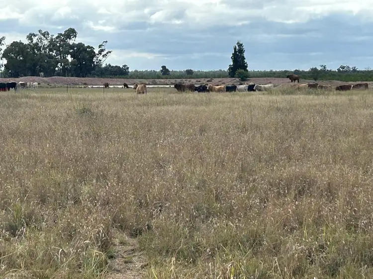 Seventh view of Homely rural property listing, 1369 Yagaburne-Boondandilla Road, Moonie QLD 4406