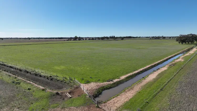 Second view of Homely rural property listing, Shady Gums Birganbigil Road, Deniliquin NSW 2710