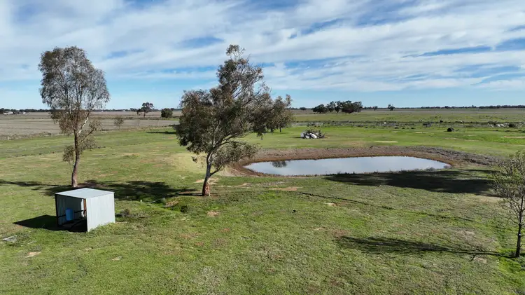 Fifth view of Homely rural property listing, Shady Gums Birganbigil Road, Deniliquin NSW 2710