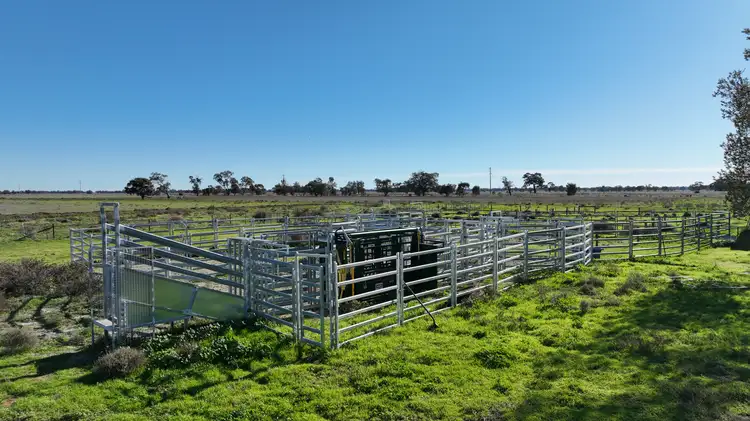 Sixth view of Homely rural property listing, Shady Gums Birganbigil Road, Deniliquin NSW 2710