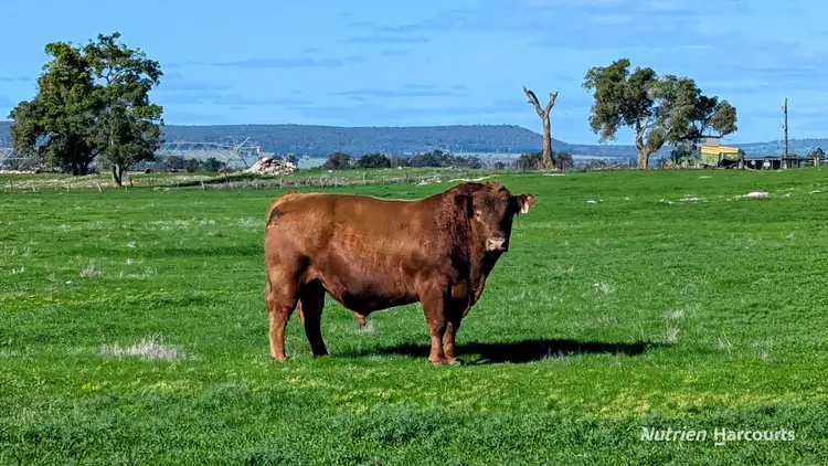 271 Mayfield Road, Beermullah WA 6503