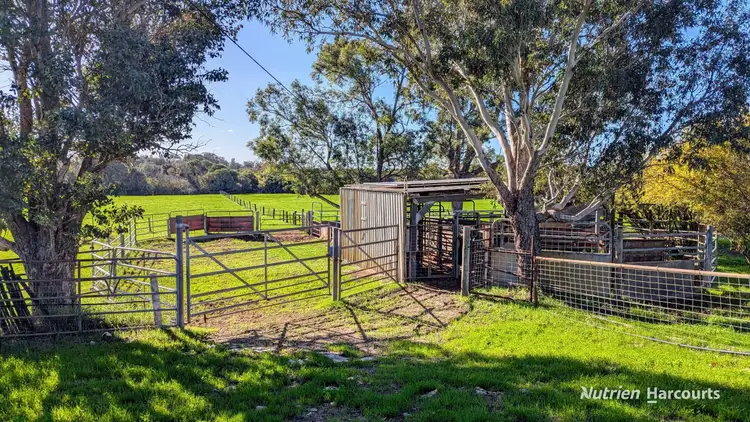 Fifth view of Homely rural property listing, 271 Mayfield Road, Beermullah WA 6503