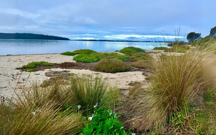Fourth view of Homely land listing, LOT Part of, 228 Binalong Bay Road, St Helens TAS 7216