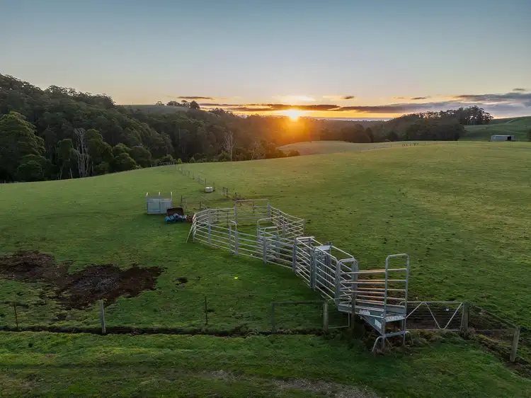 Third view of Homely house listing, 822 Mount Hicks Road, Mount Hicks TAS 7325