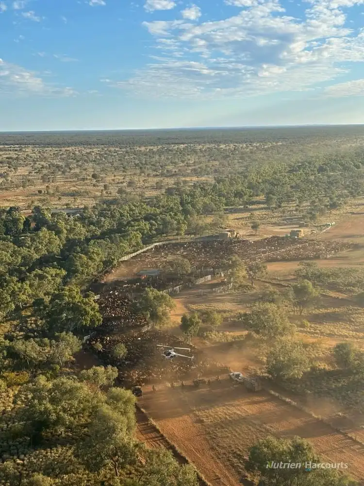 * Murray Downs Station, Alice Springs NT 870