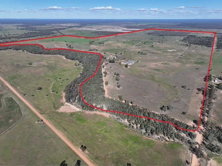 Main view of Homely rural property listing, 1035 Stumpy Lane, Wee Waa NSW 2388