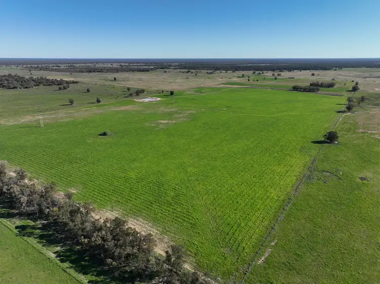 Third view of Homely rural property listing, 1035 Stumpy Lane, Wee Waa NSW 2388