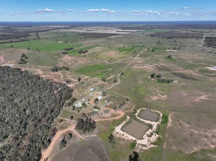 Fourth view of Homely rural property listing, 1035 Stumpy Lane, Wee Waa NSW 2388