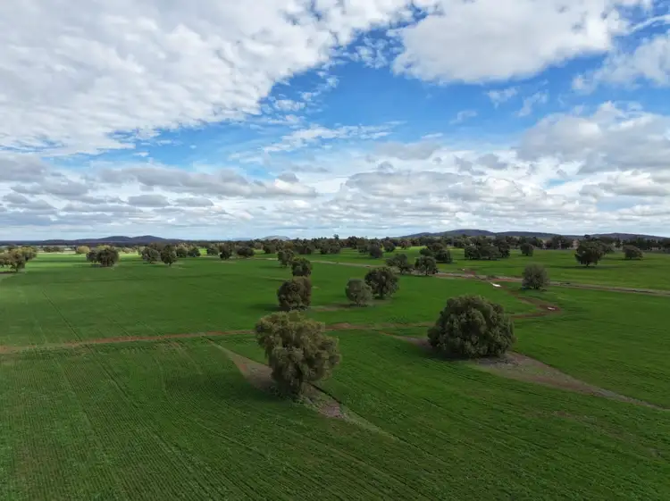 Sixth view of Homely rural property listing, "Roseleigh" Roseleigh Road, Trundle NSW 2875