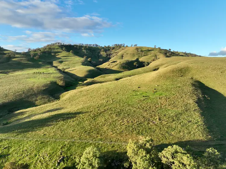 Fifth view of Homely rural property listing, 'Glencairn' Rouchel Rd via, Aberdeen NSW 2336