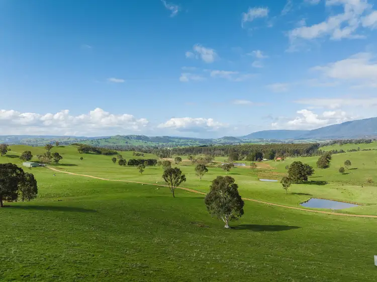 Main view of Homely rural property listing, 101 Yellow Creek Road, Taggerty VIC 3714