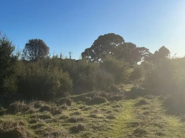 Second view of Homely rural property listing, PID 6431469 Thunder & Lightning Road, Cape Barren Island TAS 7257