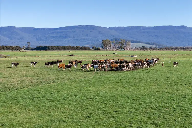 Fourth view of Homely rural property listing, 548 Montana Road, Montana TAS 7304