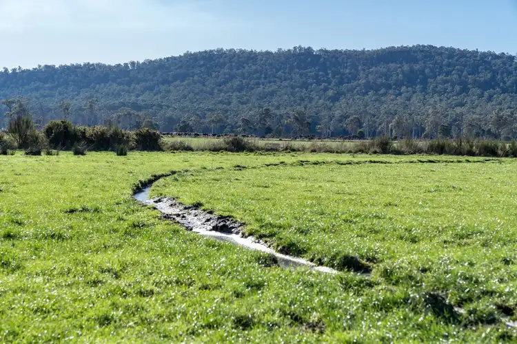 Sixth view of Homely rural property listing, 548 Montana Road, Montana TAS 7304