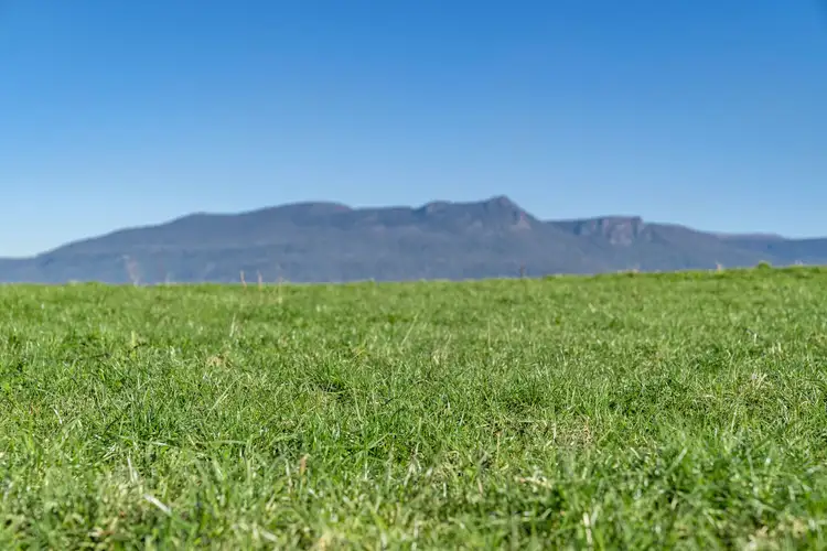 Seventh view of Homely rural property listing, 548 Montana Road, Montana TAS 7304