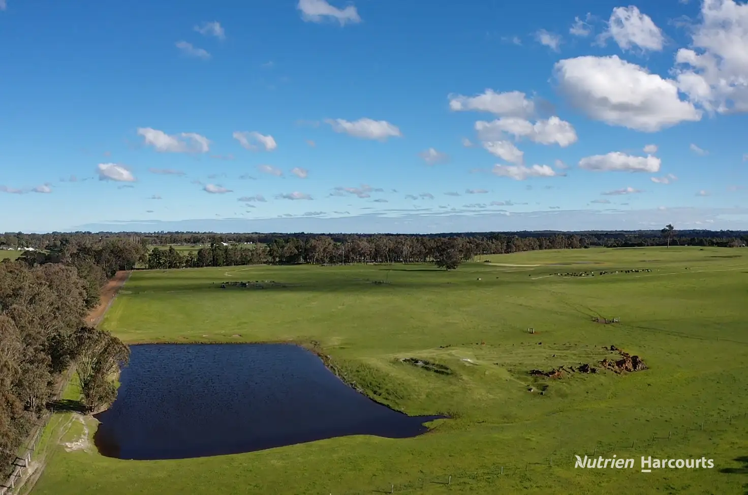 Main view of Homely rural property listing, . Collett's & Myer's, Manjimup WA 6258