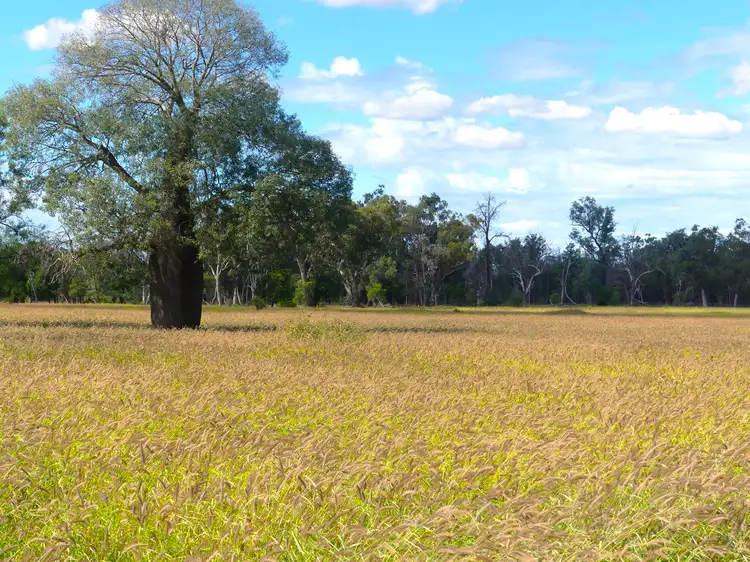 Second view of Homely rural property listing, 'Broadmarsh' 4731 Yuleba - Surat Road, Surat QLD 4417
