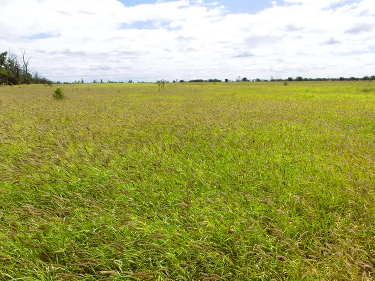 Third view of Homely rural property listing, 'Broadmarsh' 4731 Yuleba - Surat Road, Surat QLD 4417