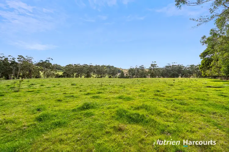 Fifth view of Homely rural property listing, 1 Doreys Road, Scotts Creek VIC 3267