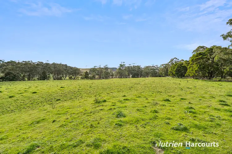 Sixth view of Homely rural property listing, 1 Doreys Road, Scotts Creek VIC 3267