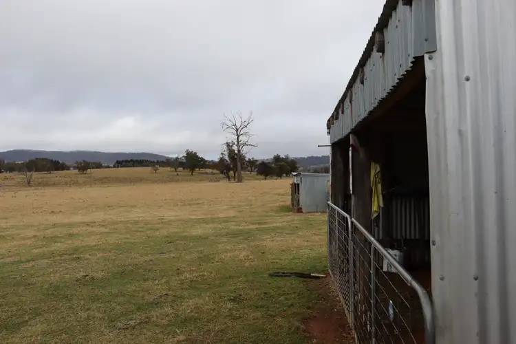 Second view of Homely rural property listing, 321 Bukeiro Road, Walcha NSW 2354