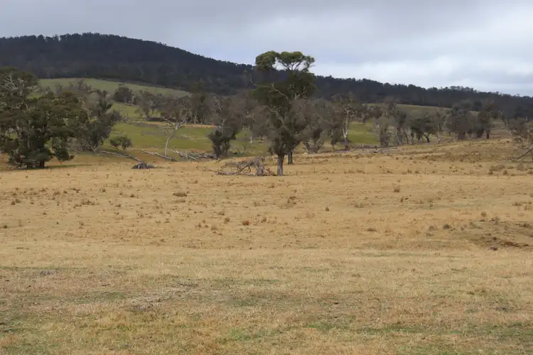 Fifth view of Homely rural property listing, 321 Bukeiro Road, Walcha NSW 2354