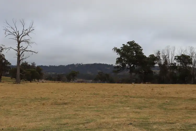 Sixth view of Homely rural property listing, 321 Bukeiro Road, Walcha NSW 2354