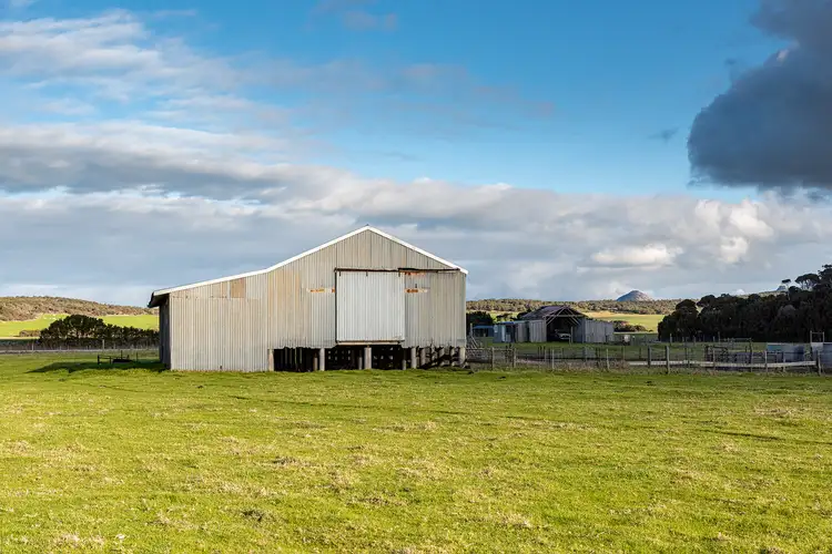 Fourth view of Homely rural property listing, 195 Lees Road, Memana TAS 7255