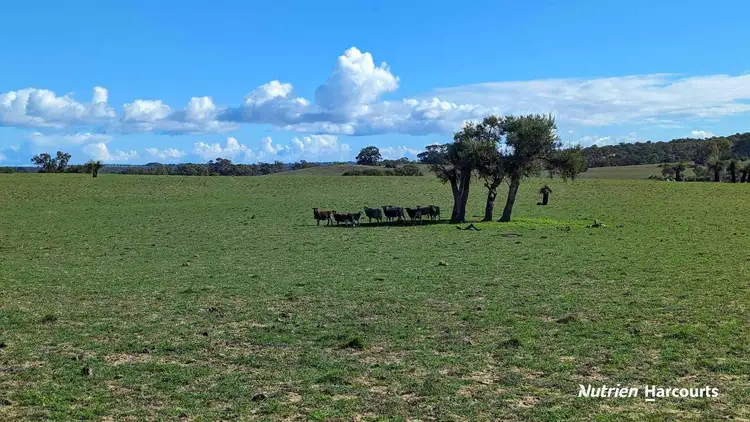 Fourth view of Homely rural property listing, Lot 248 Nabaroo Road, Cowalla WA 6503