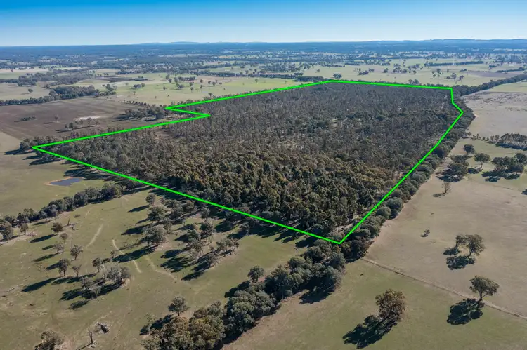 Second view of Homely rural property listing, CA34 and CA42 Rothesay Road, Tatong VIC 3673